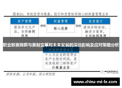 职业联赛降薪与赛制变革对未来发展的深远影响及应对策略分析